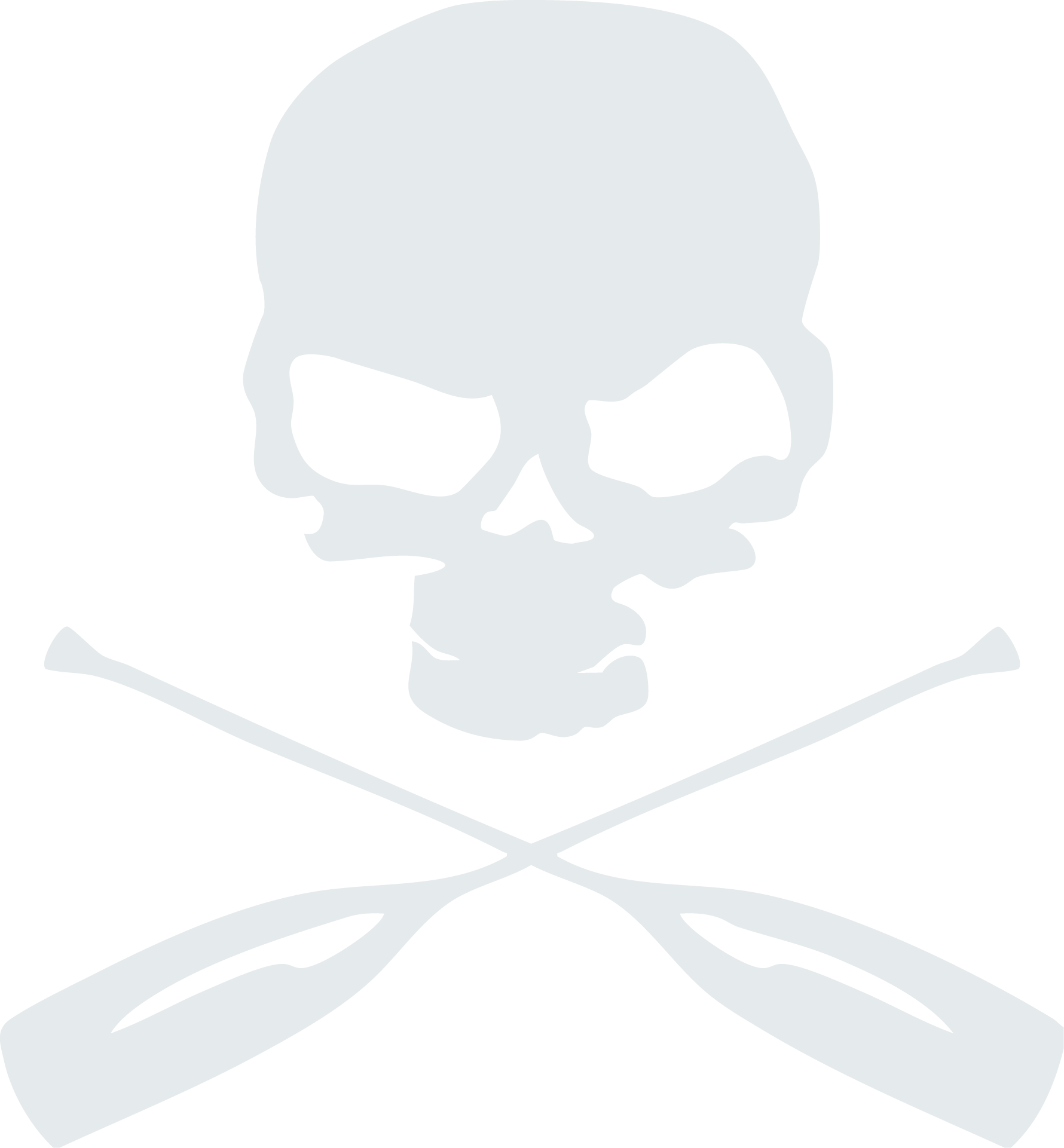 MR340 skull in gray